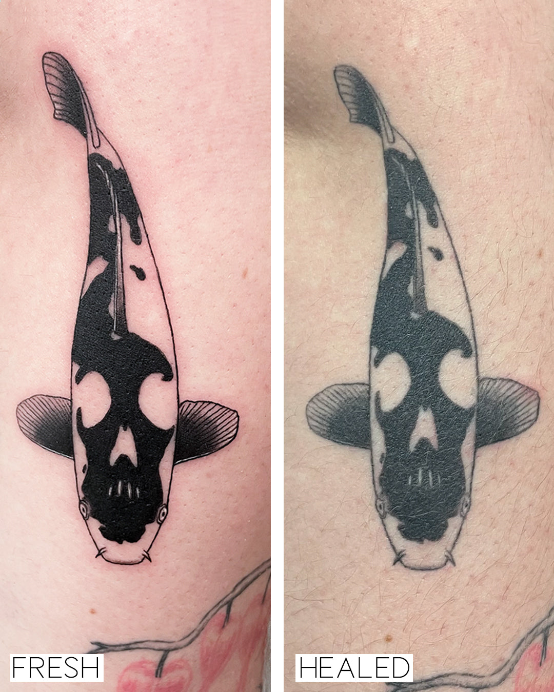 Memento Koi