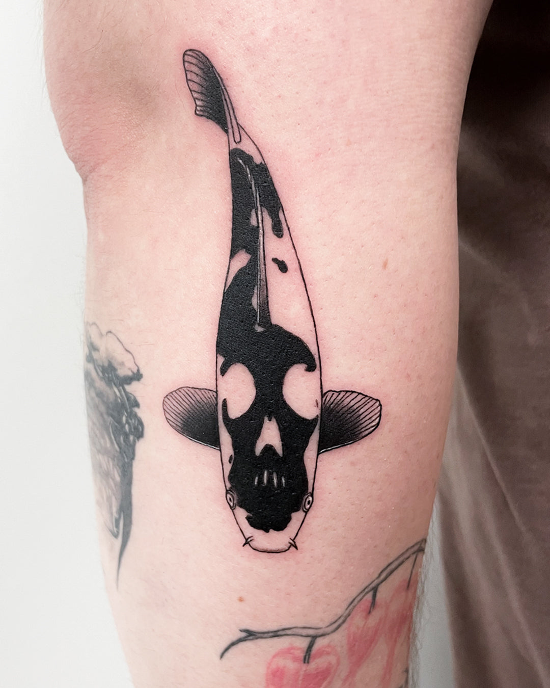 Memento Koi