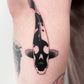 Memento Koi
